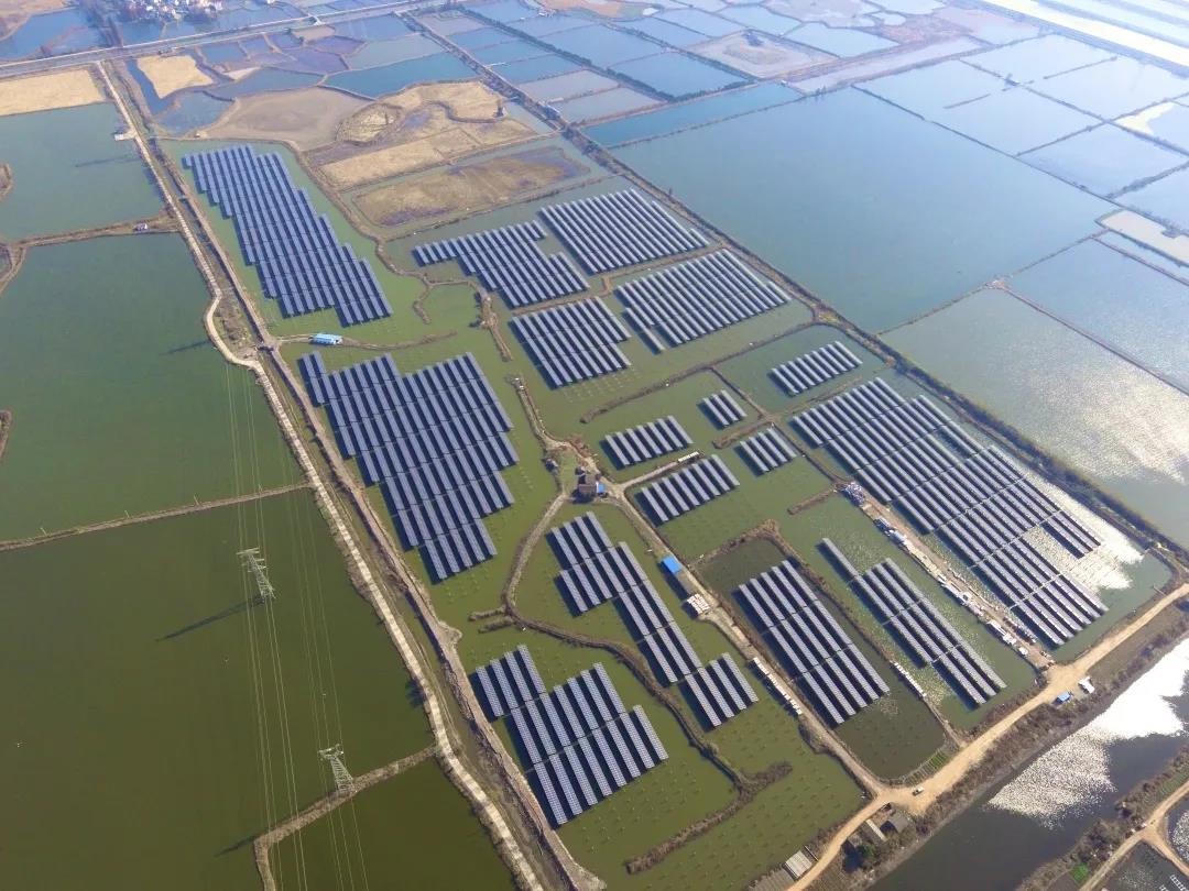 A Fishery-solar Masterpiece in the Watery Town - www.pa.com's 110 MW PV Project in Tongling, Anhui Province Successfully Connected to the Grid for Power Generation